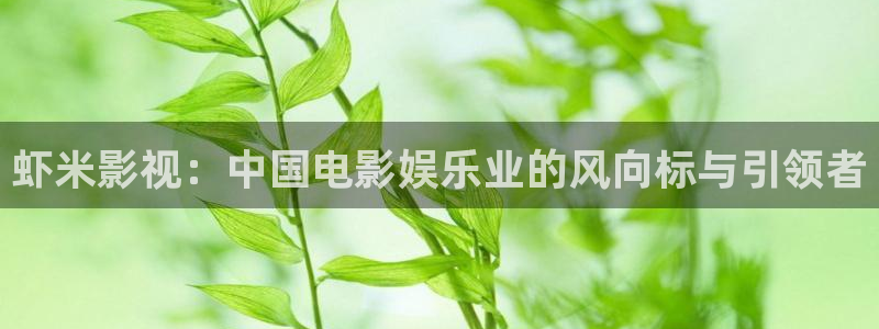 樱桃视频视下载