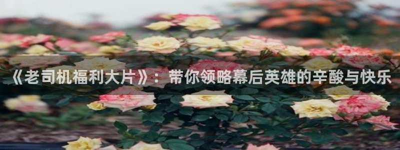 樱桃视频女