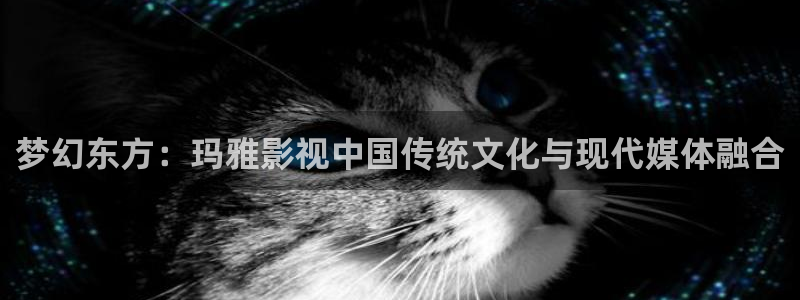樱桃视频入口免费观看