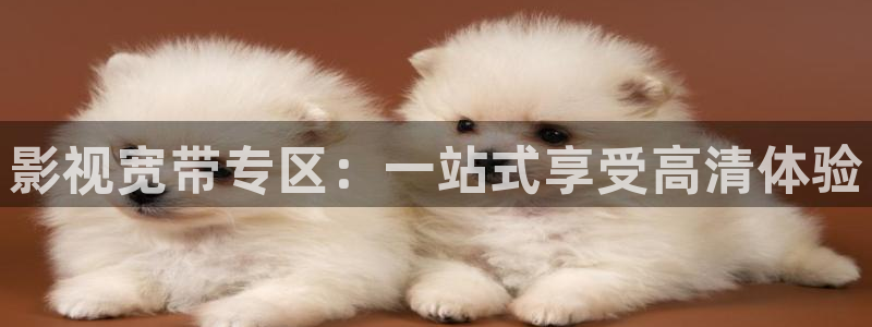 a樱桃视频：影视宽带专区：一站式享受高清体验
