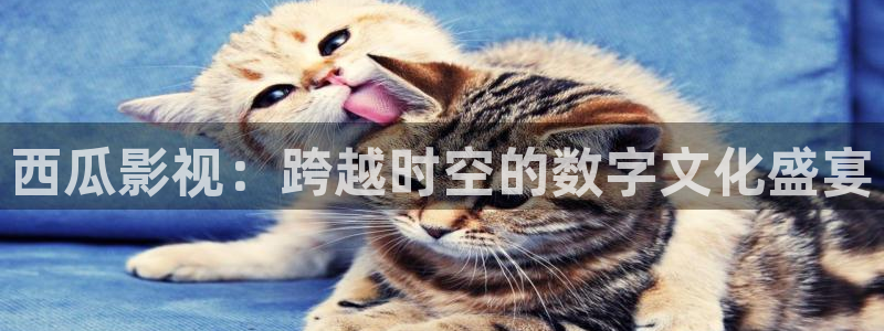 樱桃种植技术视频：西瓜影视：跨越时空的数字文化盛宴